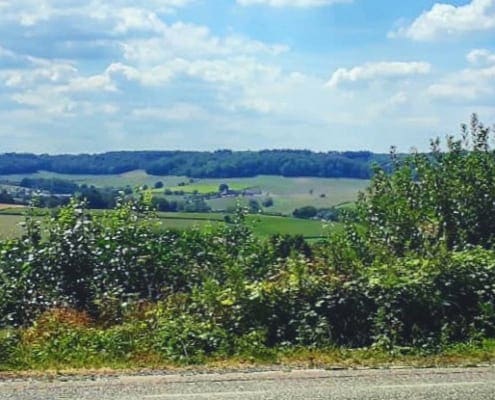 Vergeet ook niet om zo nu en dan om je heen te kijken; de uitzichten over het Zuid-Limburgse heuvelland zijn vaak fenomenaal