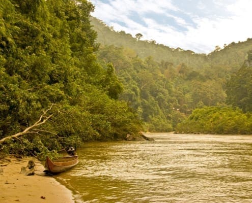Taman Negara