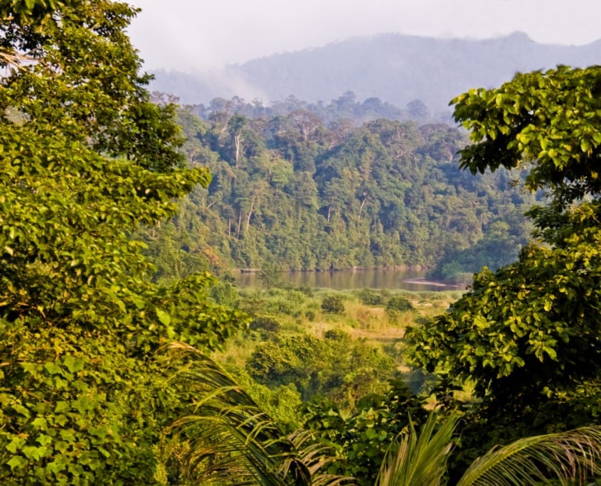De jungle van Maleisië; Taman Negara