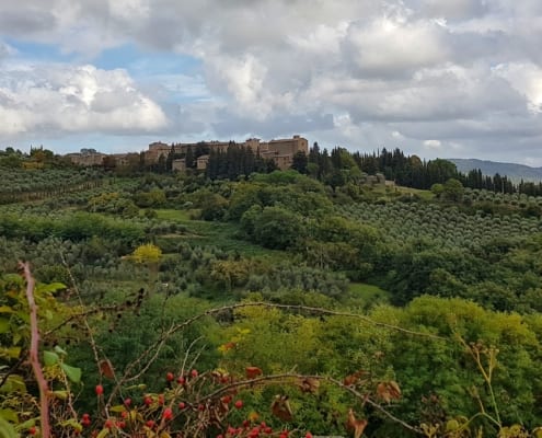 Toscaans landschap bij Volpaia