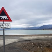 Pas op voor ijsberen op Spitsbergen