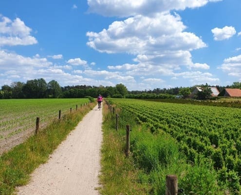 Fietsen door Noordoost-Twente
