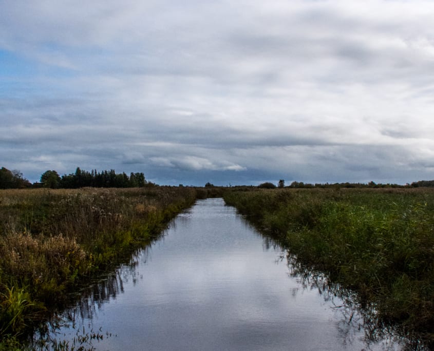 De lucht in de plomp: zo kennen we het landschap van Friesland.