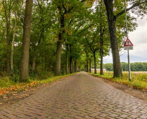 Een stukje Parijs-Roubaix in je tourtocht: voor minder dan slecht wegdek kom ik m'n bed niet uit.