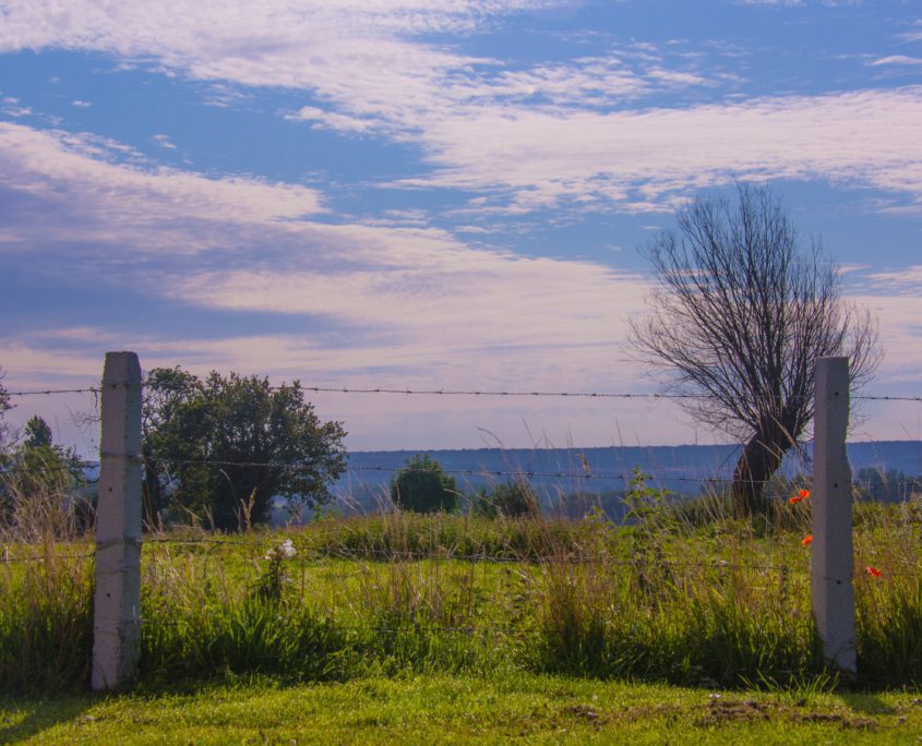 Het achterland van de Opaalkust: een groene lust voor het oog.