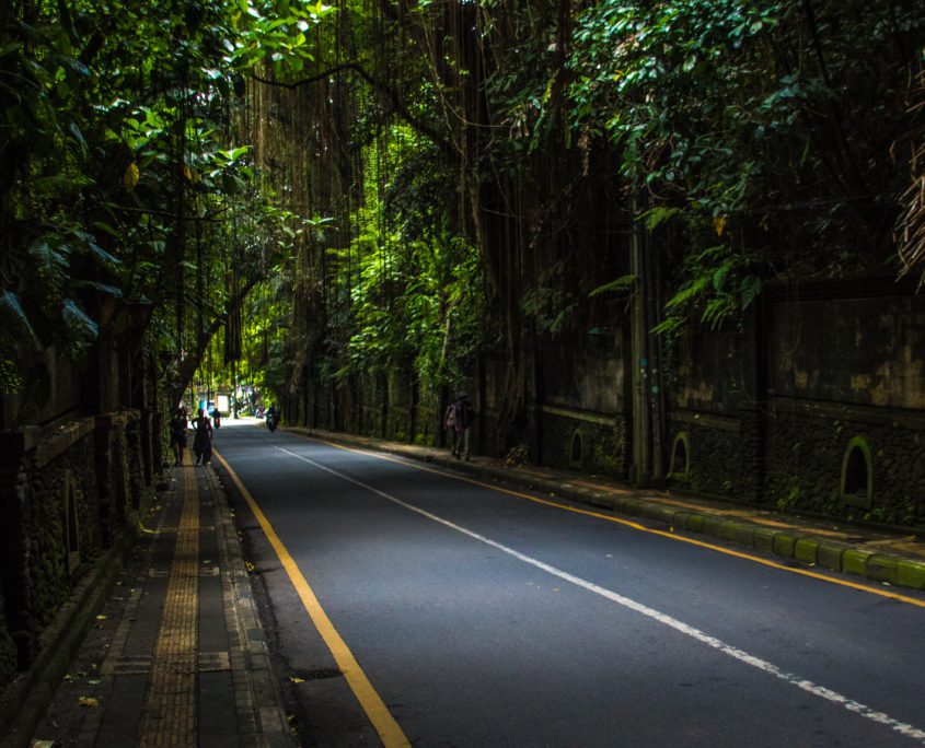 De toegangsweg naar Ubud, het spirituele hart van Bali.