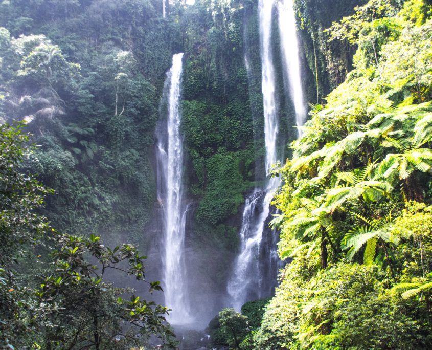 80 meter kletteren de Sekumpul watervallen naar beneden, daarmee zijn ze de grootste van Bali.