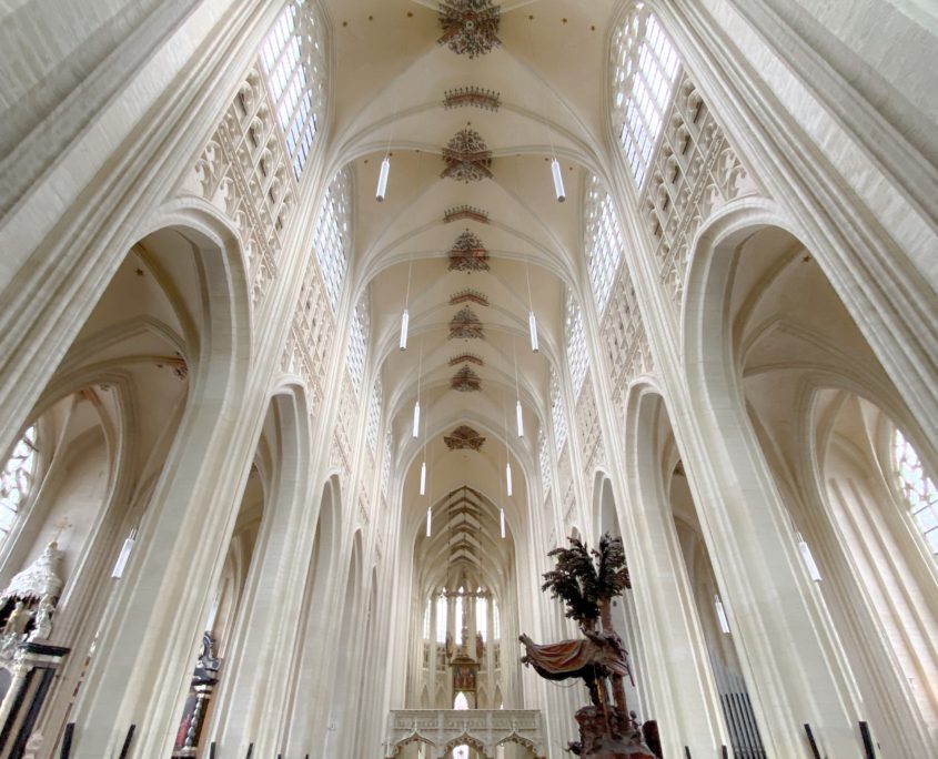 De Sint Pieterskerk van Leuven: mooi licht.