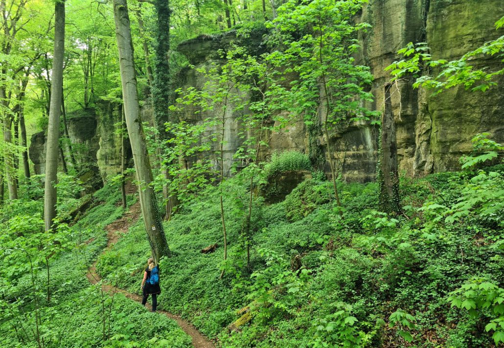 Eerste rots(wand)en tijdens de Müllerthal trail